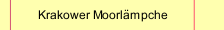 Krakower Moorlämpche